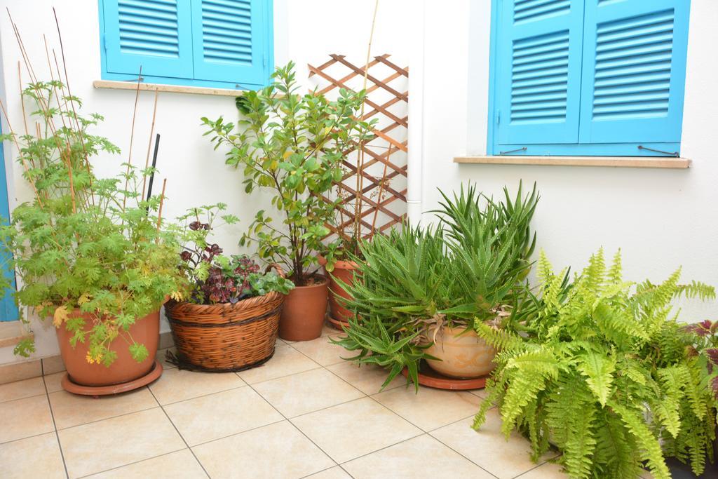 Cypriot Swallow Boutique Hotel Nicosia Ngoại thất bức ảnh